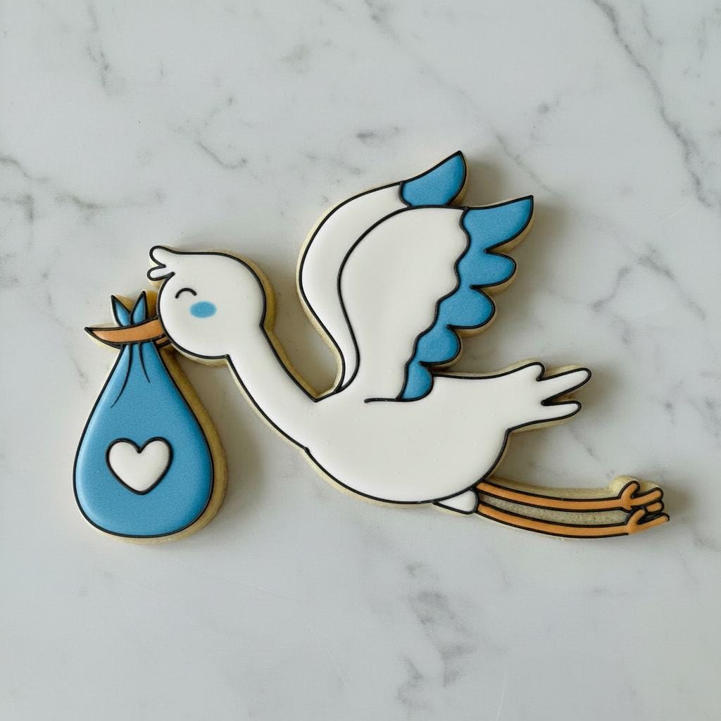 Stork Baby_Delivery Cookie Cutter and Stamp | Baby Shower Cookie Cutter | Baby Girl Stork Cookie | Bundle of Joy Baby Shower Decoration